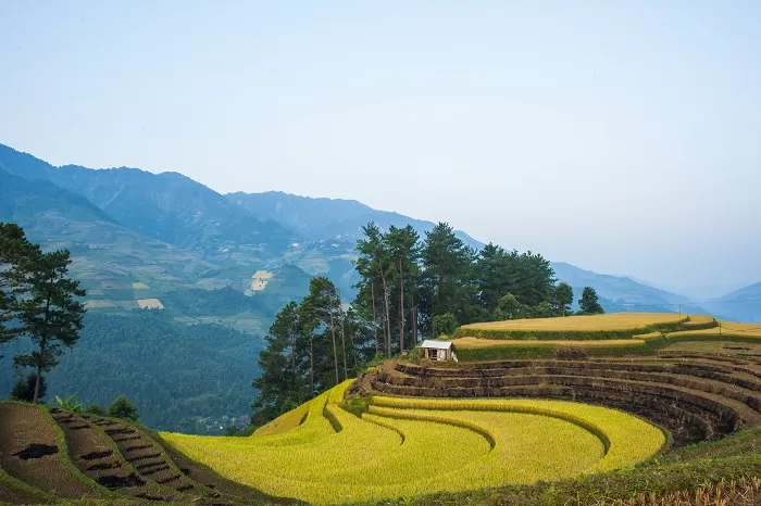 NORTH - WEST VIETNAM LOOP TOUR 7 DAYS - 6 NIGHTS