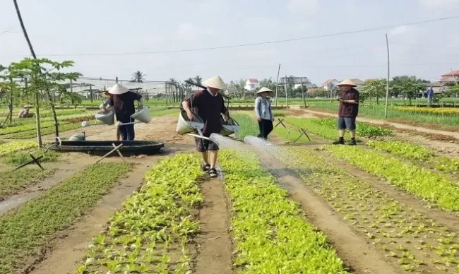 BE A FARMER AT TRA QUE HERBAL VILLAGE