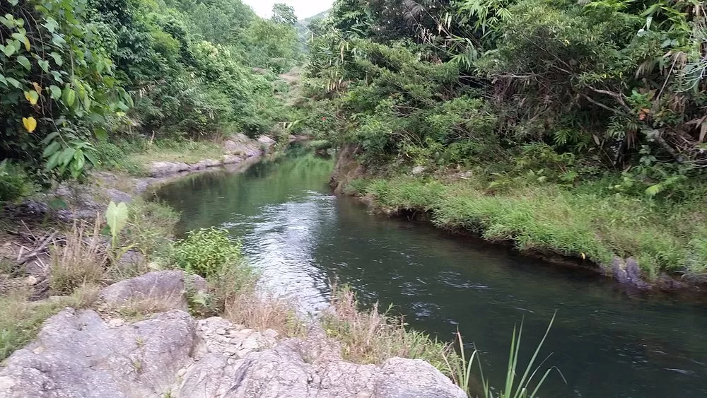 THE BEST TOUR BHO HOONG VILLAGE (DANANG)